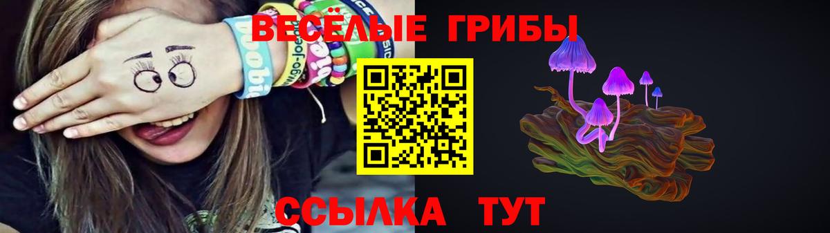 Ессентуки  Галлюциногенные грибы GOLDEN TEACHER  Галлюциногенные грибы MAGIC MUSHROOMS  Вход с VPN 