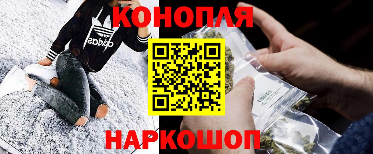 Бошки марихуана сатива Ессентуки